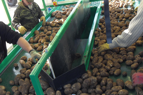 Triediace zariadenia