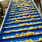 Packhouse dopravníky a výťahy – 7107