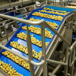 Packhouse dopravníky a výťahy – 7107